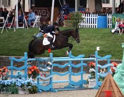 Image result for Annandale Equestrian Centre