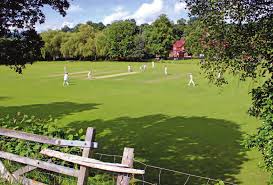 Image result for Abinger Sports Club