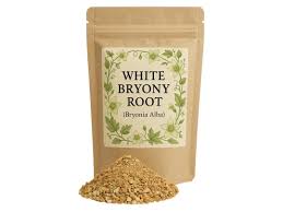 Attēlu rezultāti vaicājumam “Bryonia alba bud”