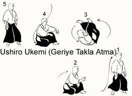 Image result for Kakumei Kan Aikikai (Middlesbrough)