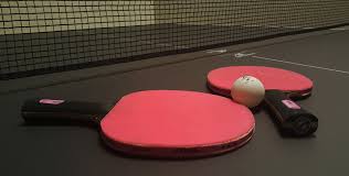 Image result for Reigate Roystons Table Tennis Club