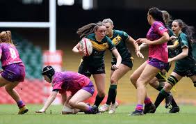 Image result for Cardiff Harlequins