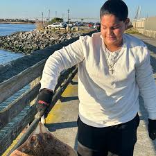 Image result for Rostroraja eglanteria