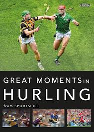 Image result for hurling