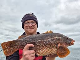 Image result for Ilfracombe Orcas Octopush Club