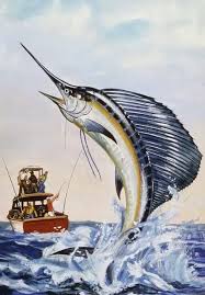 Image result for Istiophorus platypterus