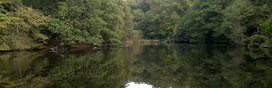 Image result for Addlestone Angling Society