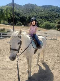 Image result for Old Park Riding Stables