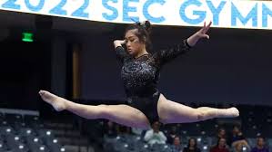 Image result for Wade Gymnastics Club