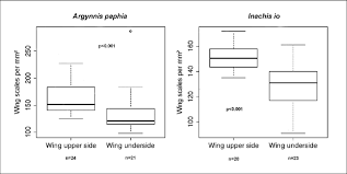 Attēlu rezultāti vaicājumam “Inachis io underside”
