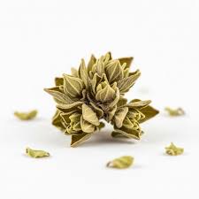 Attēlu rezultāti vaicājumam “Origanum vulgare bud”