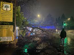 Image result for Fulwood & Broughton Cricket Club