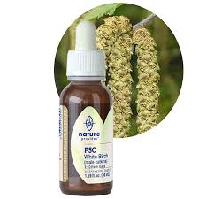 Attēlu rezultāti vaicājumam “Betula pubescens flower”