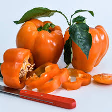 Afbeeldingsresultaat voor orange sun sweet pepper