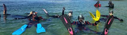 Image result for Seabug Divers