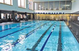 Image result for Elmbridge Phoenix Swimming Club