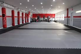 Image result for MACSFIT bootcamps ltd