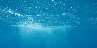 Image result for Brighton Octopush Club