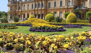 Image result for Waddesdon Gymnastics Club