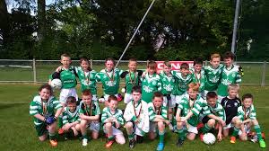 Image result for Wolfe Tones Gaelic Athletic Club