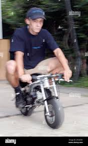 Image result for Uwe Riding Club