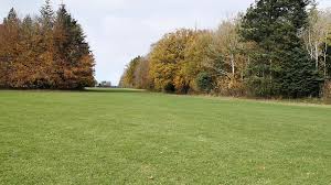 Image result for Cirencester Park Polo Club