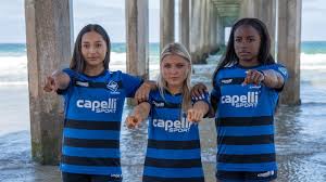 Image result for Beecholme Fc