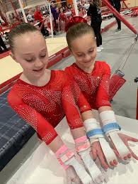 Image result for City Of Liverpool Gymnastics Club