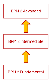 Billedresultat for BPM