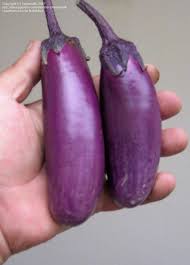 Afbeeldingsresultaat voor slim jim eggplant