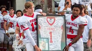 Image result for North East Vikings