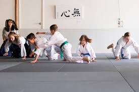 Image result for Newcastle Aikido Club