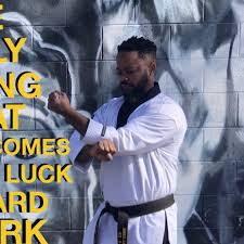 Image result for United Sport Karate