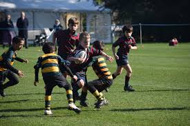 Image result for Caldicot Junior  & Mini Rugby Club