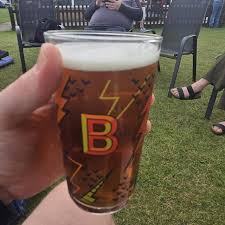 Image result for Leicester Ivanhoe Cricket Club