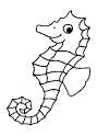 Seahorse coloring page