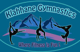 Image result for Holbeach and Fenland Gymnastics Club