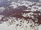Gooey masses of oil spill - via Daymix
