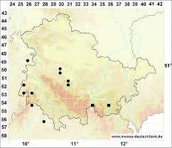 Attēlu rezultāti vaicājumam “Orthotrichum cupulatum var. riparium”