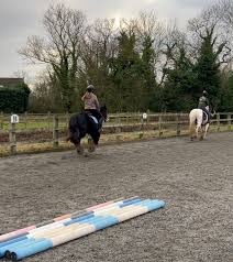 Image result for South Weylands Equestrian