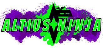 Image result for Altius Trampoline Club