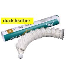 Image result for The 77 Badminton Club