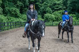 Image result for Stoneleigh Riding Club