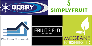 Image result for Ballyhegan Davitts Gaa Club