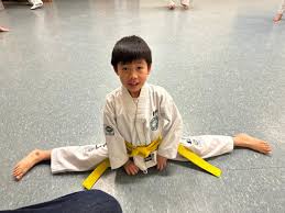 Image result for Bracknell TaeKwon-Do Club