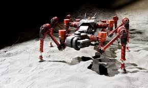 Attēlu rezultāti vaicājumam “Crex crex”