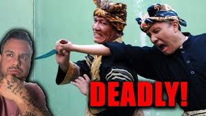 Image result for Silat Pd (Perisai Diri) UK