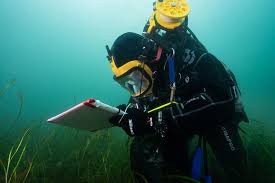 Image result for Plymouth Aquanauts