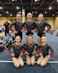 Image result for Phoenix Gymnastics Club