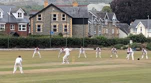 Image result for Wells Cricket Club